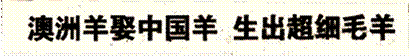 image003.gif
