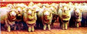 image004.jpg