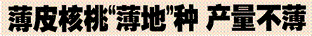 image002.gif