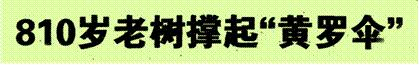 image002.gif