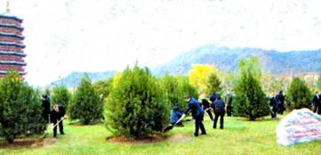 image017.jpg