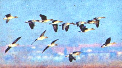 image006.jpg