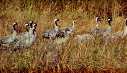 image007.jpg