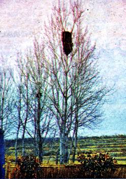 image004.jpg