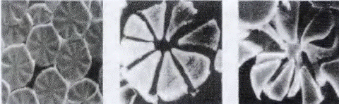 image002.gif