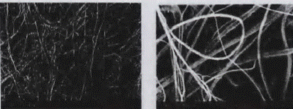 image003.gif