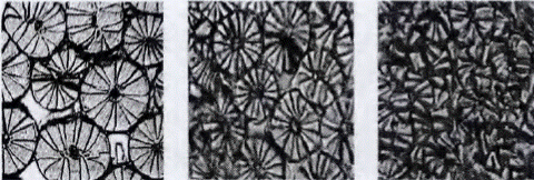image005.gif