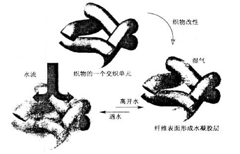 image007.gif
