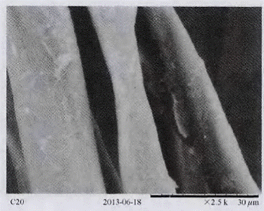 image026.gif