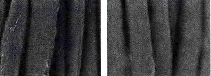 image013.gif