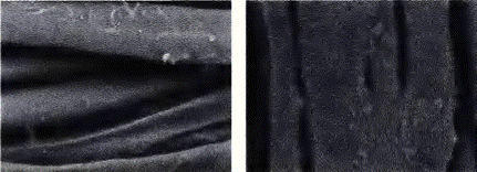 image019.gif