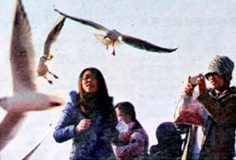 image004.jpg