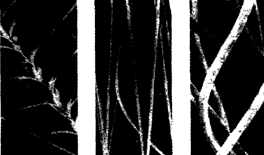 image004.gif