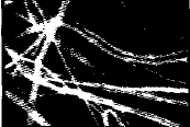 image006.gif