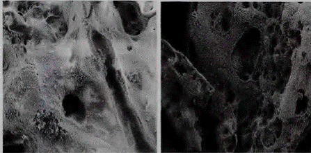 image012.gif
