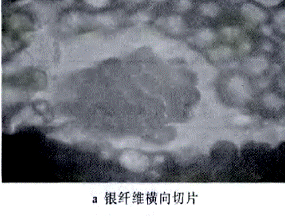 image010.gif