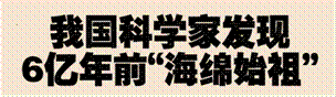 image002.gif