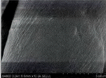 image030.gif