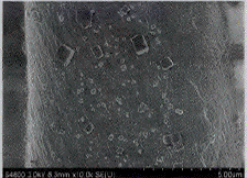 image031.gif
