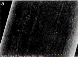 image008.gif