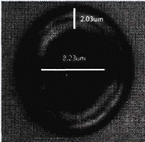 image007.gif
