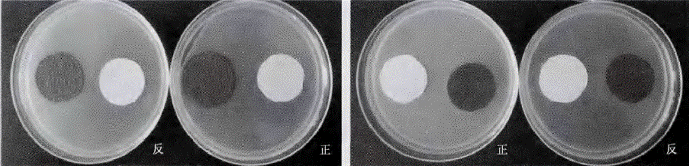 image004.gif