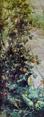 image026.jpg