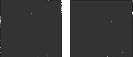 image010.gif