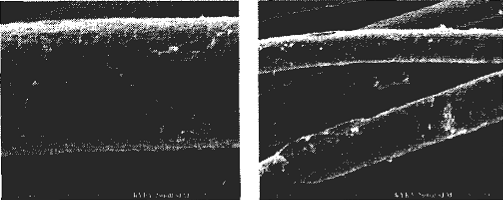 image018.gif