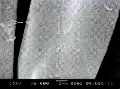 image012.gif