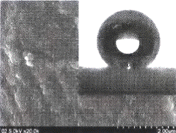 image022.gif