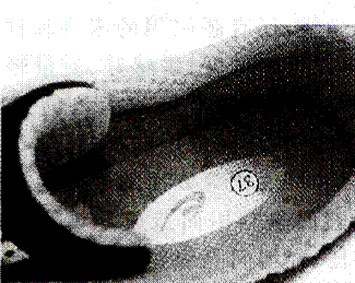 image006.gif