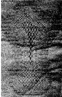 image009.gif
