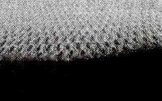 image020.gif