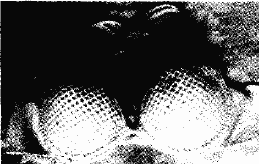 image024.gif