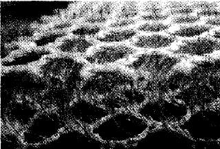 image006.gif
