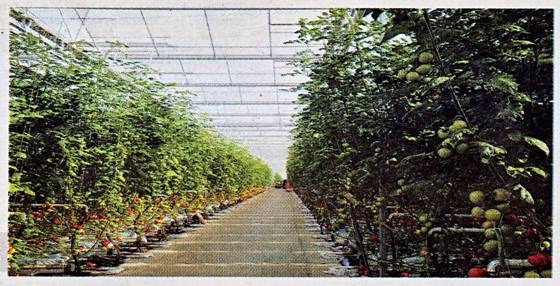 image008.jpg