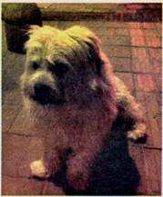 image004.jpg