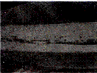 image008.gif