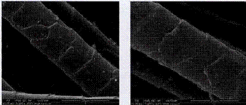 image001.gif