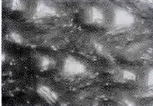 image003.gif