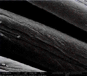 image021.gif