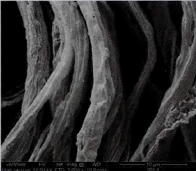 image024.gif