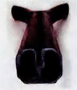 image059.gif