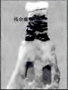 image025.gif