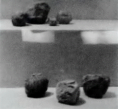 image027.gif