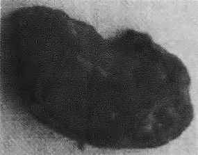 image030.gif