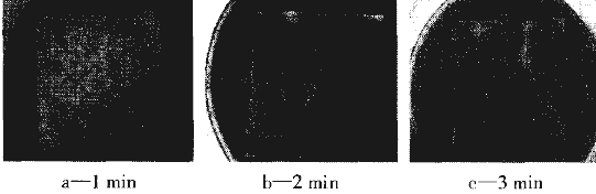 image011.gif