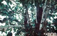 image004.jpg