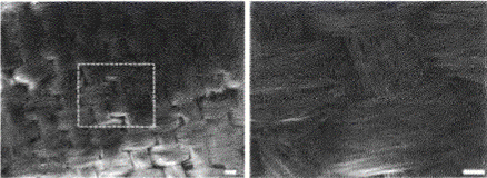 image034.gif